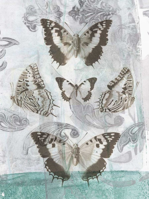 Butterflies and Filigree II Poster Print - Jennifer Goldberger Butterflies and Filigree II Poster Print - Jennifer Goldberger