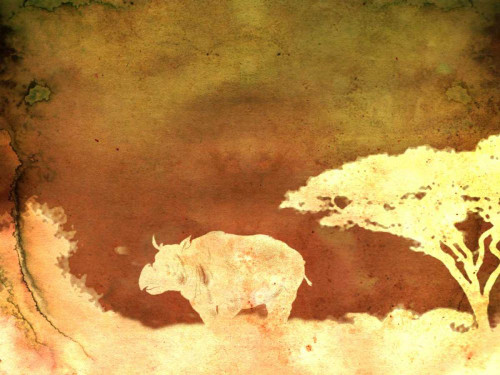 Safari Sunrise II Poster Print - Pam Ilosky