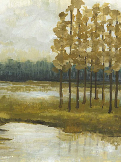 Etoile II Poster Print - Charles McMullen