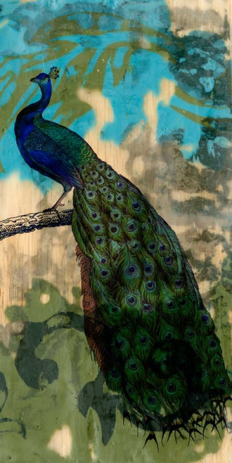 Rustic Peacock II Poster Print - Jennifer Goldberger
