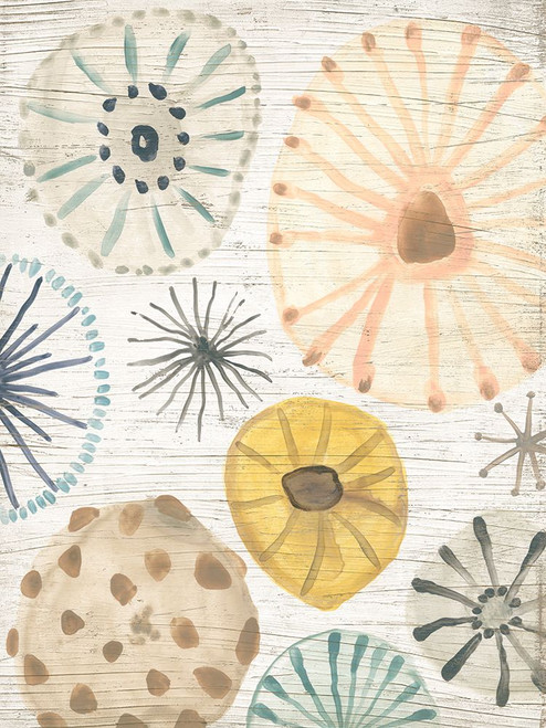 Ocean Urchins II Poster Print - June Erica Vess