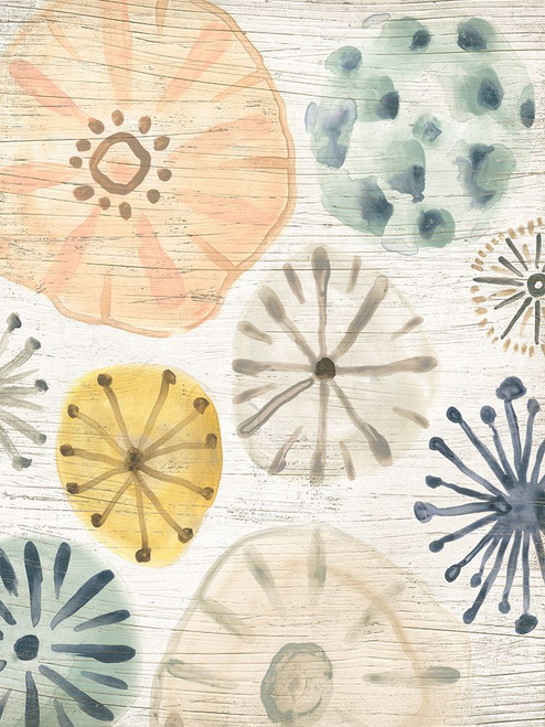 Ocean Urchins I Poster Print - June Erica Vess