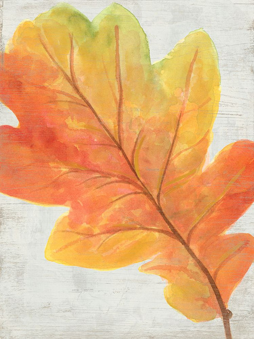 Woodland Colors II Poster Print - June Erica Vess