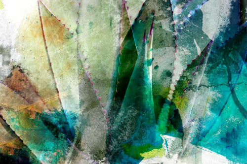 Agave Abstract II Poster Print - Sisa Jasper