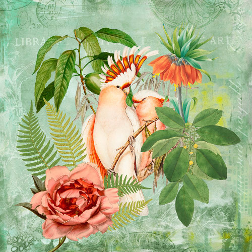 Happy Cockatoos Poster Print - Andrea Haase