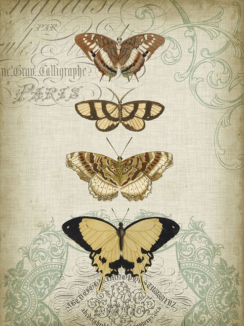 Cartouche and Butterflies II Poster Print - Jennifer Goldberger