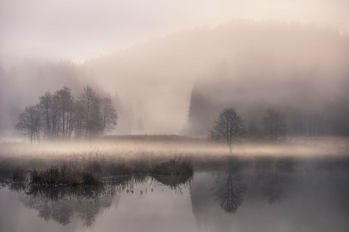 Mystic Morning Ii Poster Print - Nina Pauli