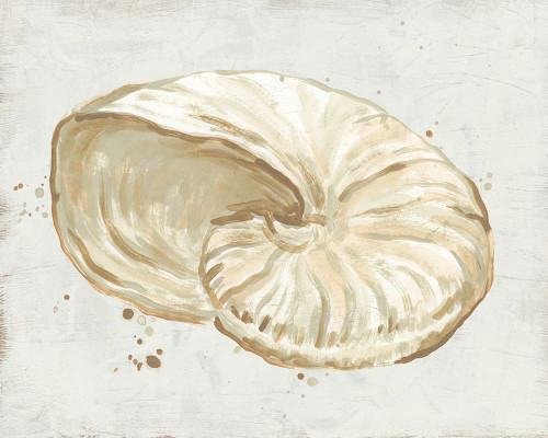 Neutral Shell Fresco I Poster Print - June Erica Vess