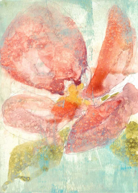 Veiled Poppy II Poster Print - Jennifer Goldberger