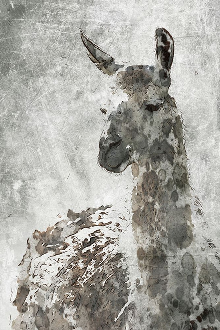Llama Poster Print - Irena Orlov