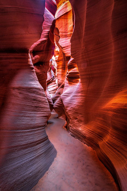 The Curves And Colors Of Nature Poster Print - Jeffrey C. Sink