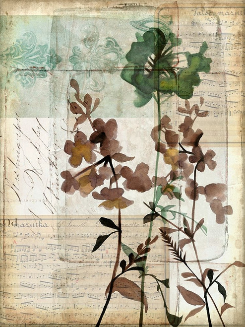 Music Box Floral II Poster Print - Jennifer Goldberger