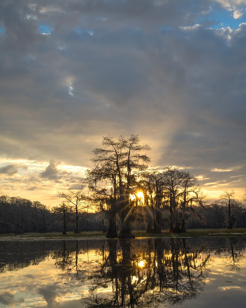 Bayou Sunrise II Poster Print - Danny Head