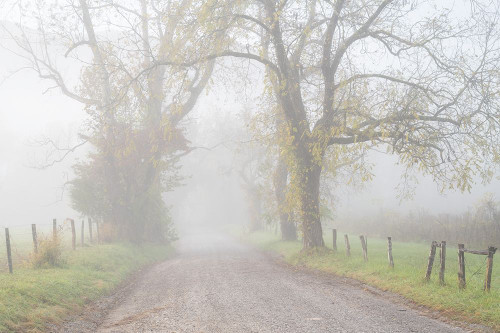 Fog on Sparks Lane Poster Print - Danny Head