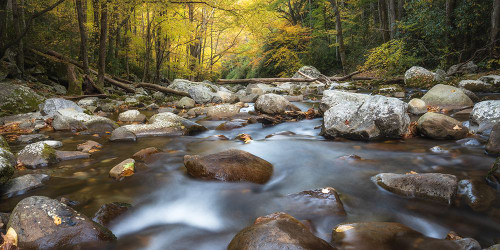 Down Stream I Poster Print - Danny Head