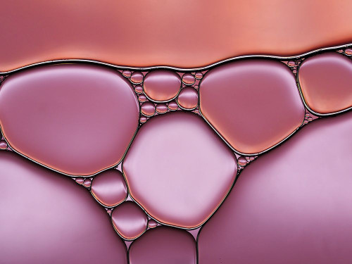 Thightly Poster Print - Heidi Westum