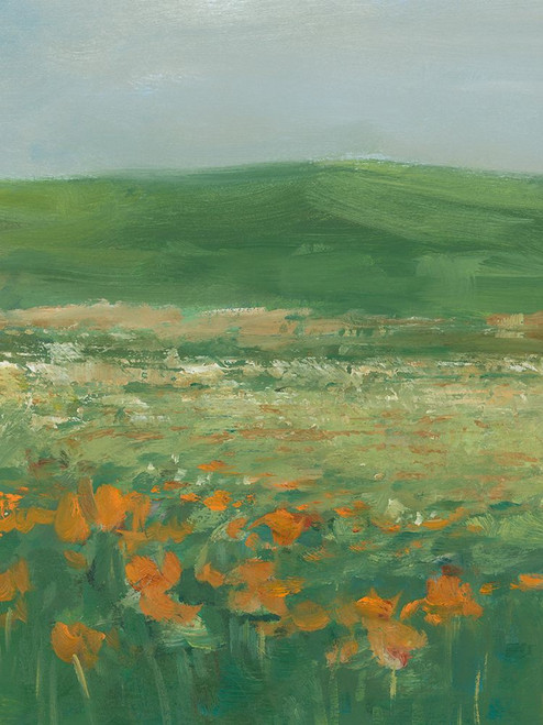 Summer Poppy Field II Poster Print - Ethan Harper