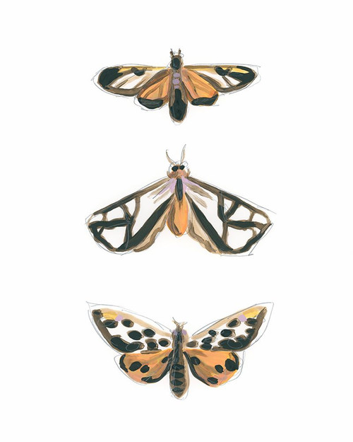 Yellow Moths I Poster Print - June Erica Vess