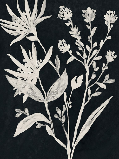 Interior Botany II Poster Print - June Erica Vess