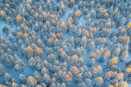 Warm Up Poster Print - Mei Xu