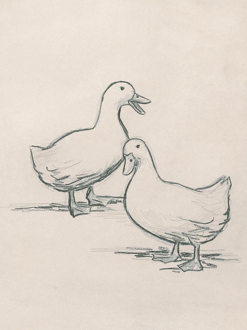 Duck Sketch I Poster Print - June Erica Vess