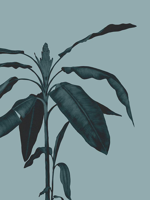 Monochrome Tropical Foliage I Poster Print - Andrea Haase