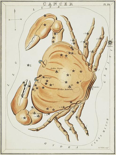 Halls Astronomical Illustrations XIV Poster Print - Sidney Hall