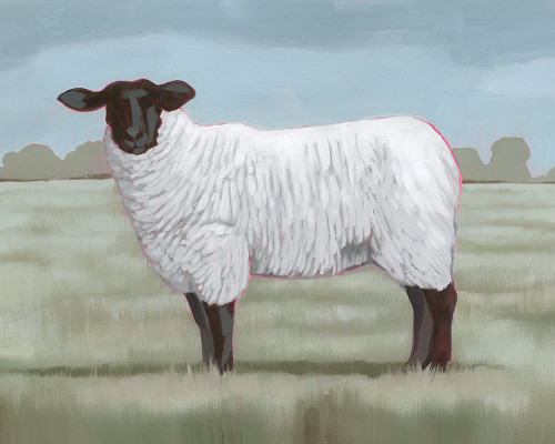 Shepherds Sheep II Poster Print - Grace Popp