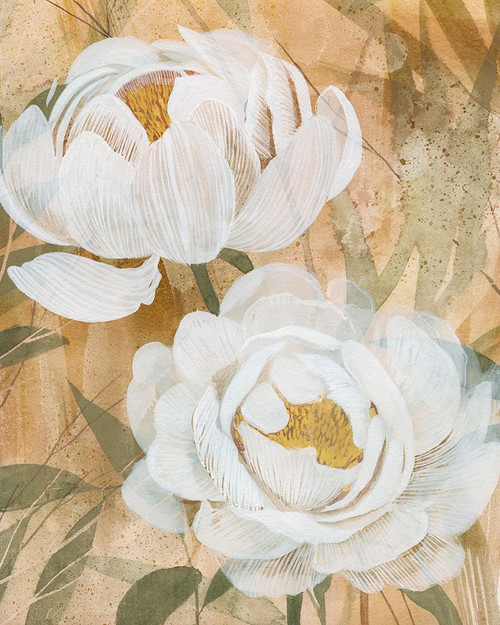 Veil of the Petals I Poster Print - Grace Popp