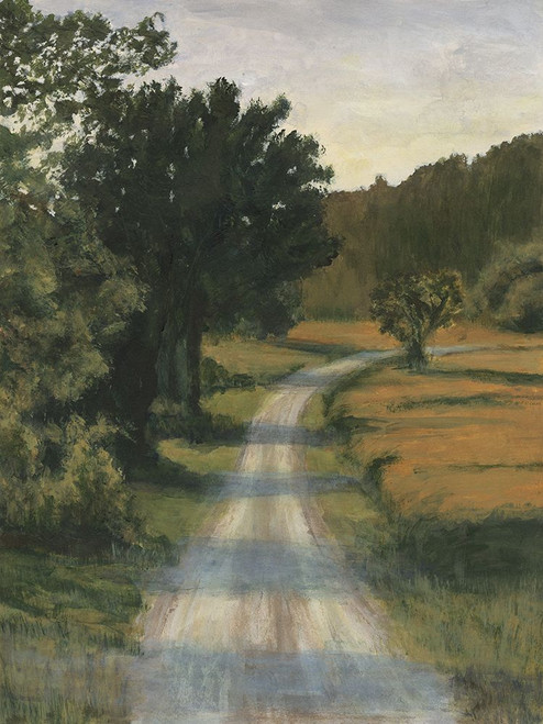So Many Roads II Poster Print - Michael Willett