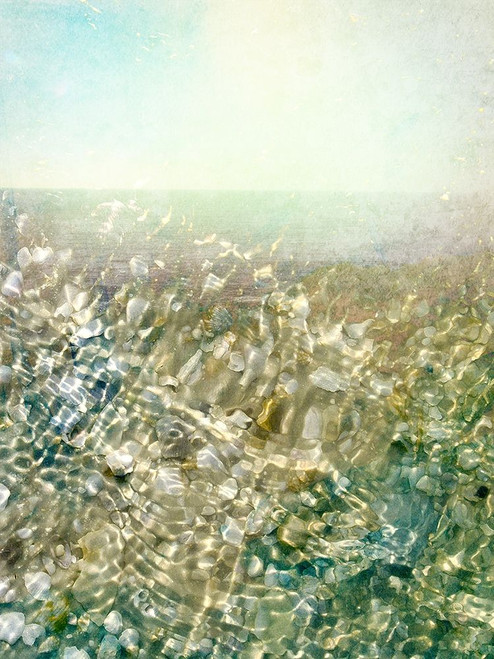 Ocean Dream I Poster Print - Pam Ilosky