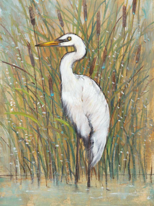 White Egret I Poster Print - Tim OToole
