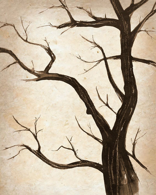 Simple Branches VI Poster Print - Alonzo Saunders