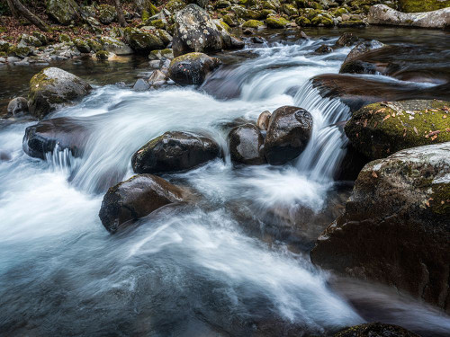 Downward Flow Poster Print - Danny Head