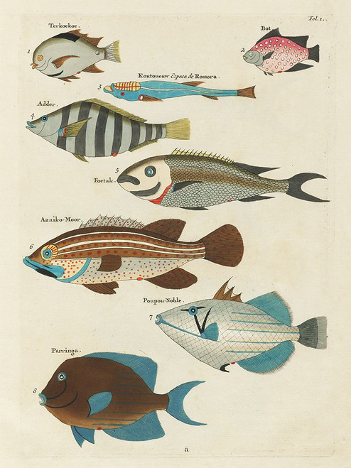 Renard Tropical Fish V Poster Print - Louis Renard