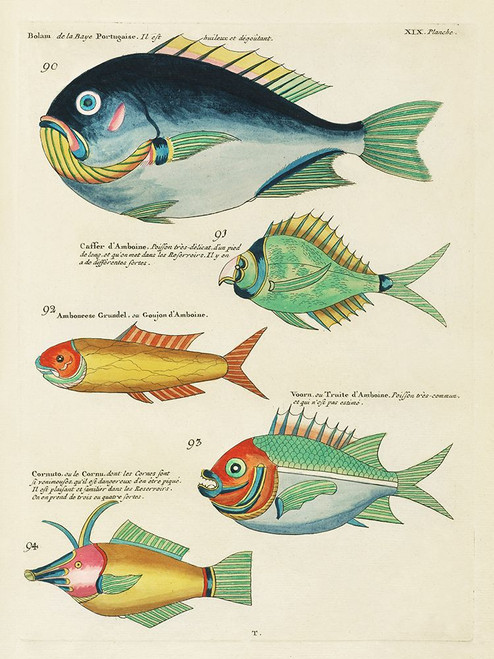 Renard Tropical Fish I Poster Print - Louis Renard