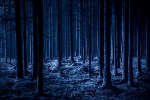 Spooky Poster Print - Benny Pettersson