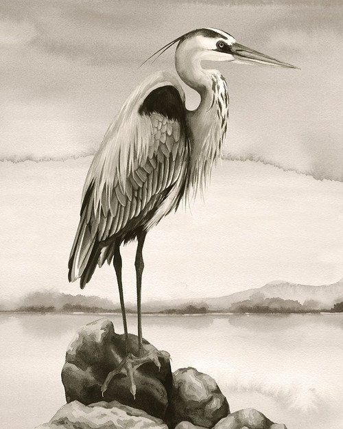 Sepia Watcher II Poster Print - Grace Popp