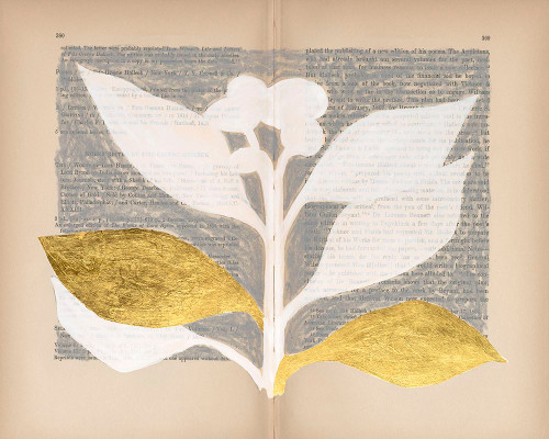 Pressed Diary II Poster Print - Vanna Lam