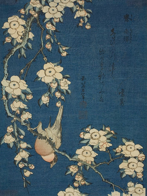 Hokusais Blossoms on Indigo I Poster Print - Katsushika Hokusai
