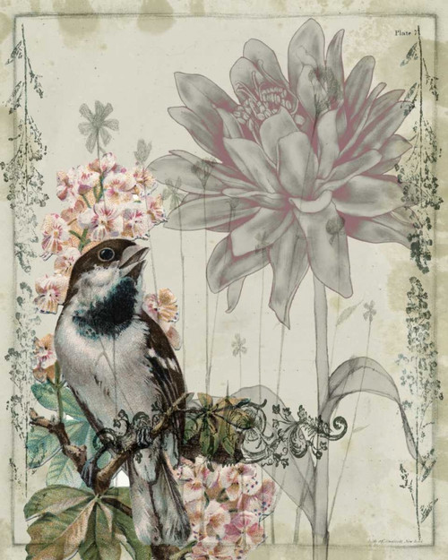 Mauve Melody I Poster Print - Jennifer Goldberger