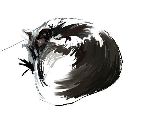 Asher II Poster Print - Emily Kalina