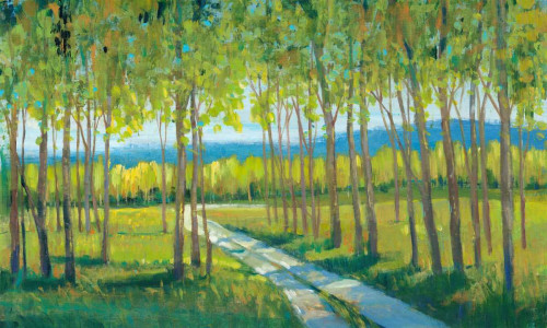 Morning Stroll II Poster Print - Tim OToole