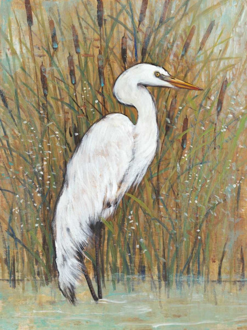 White Egret II Poster Print - Tim OToole