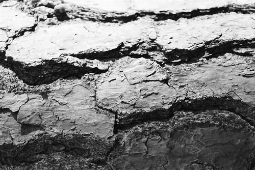 Found Textures IV Poster Print - Jason Johnson