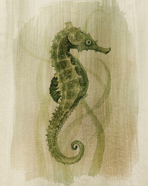 Emerald Seahorse I Poster Print - Grace Popp