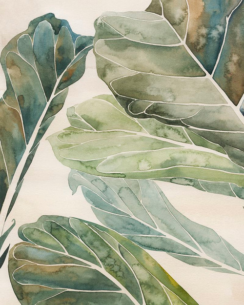 Fiddle Leaf Fig I Poster Print - Grace Popp