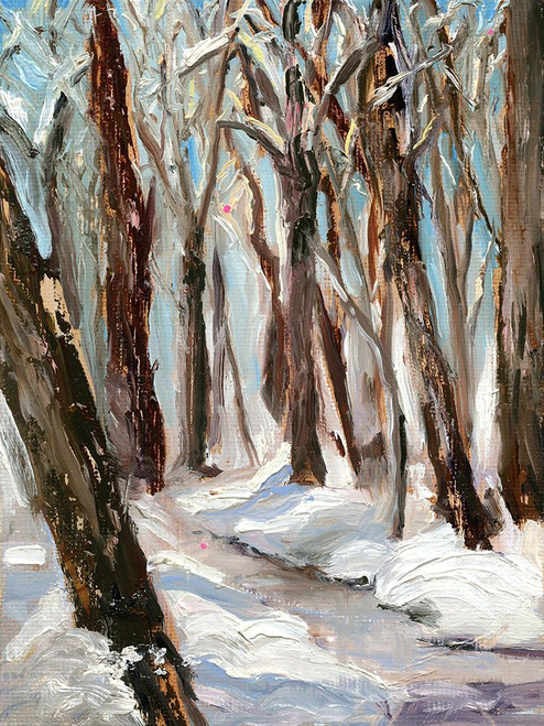Woods in Winter Poster Print - Sandra Iafrate