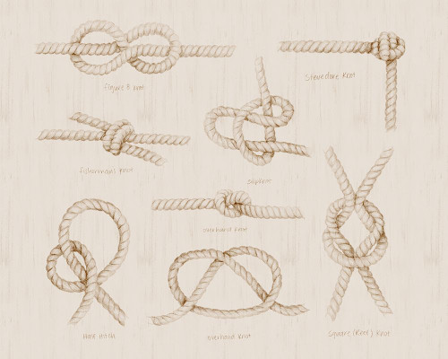 Nautical Knot Study III Poster Print - Grace Popp