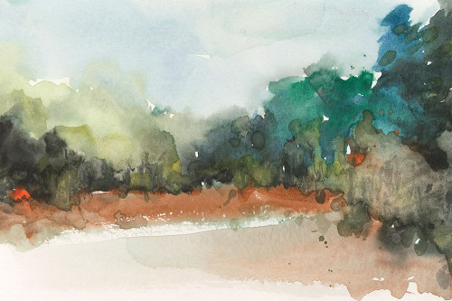 Rugged Terrain Moment I Poster Print - Samuel Dixon